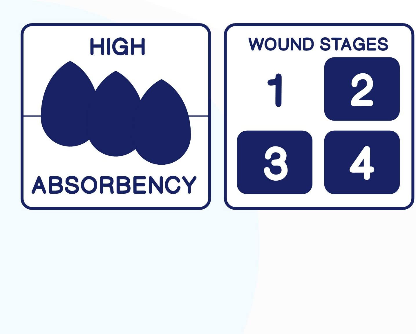 MedVance Silicone Bordered Adhesive Wound Dressing, 6"X8", Box of 5